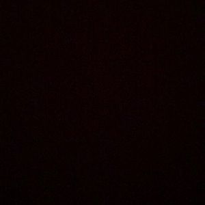 Meet your Posher, Jackson